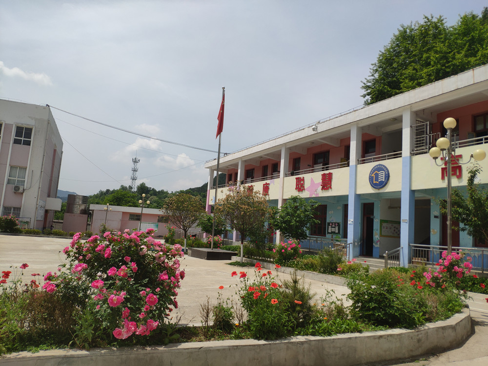 5ec656d5187a0.jpg 5ec656d5187a0.jpg