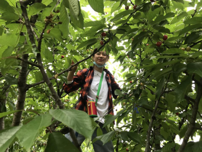 60a35ce9381f4.png image.png