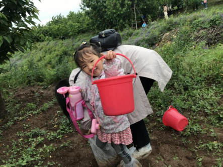 60a35d1fe2daa.png image.png